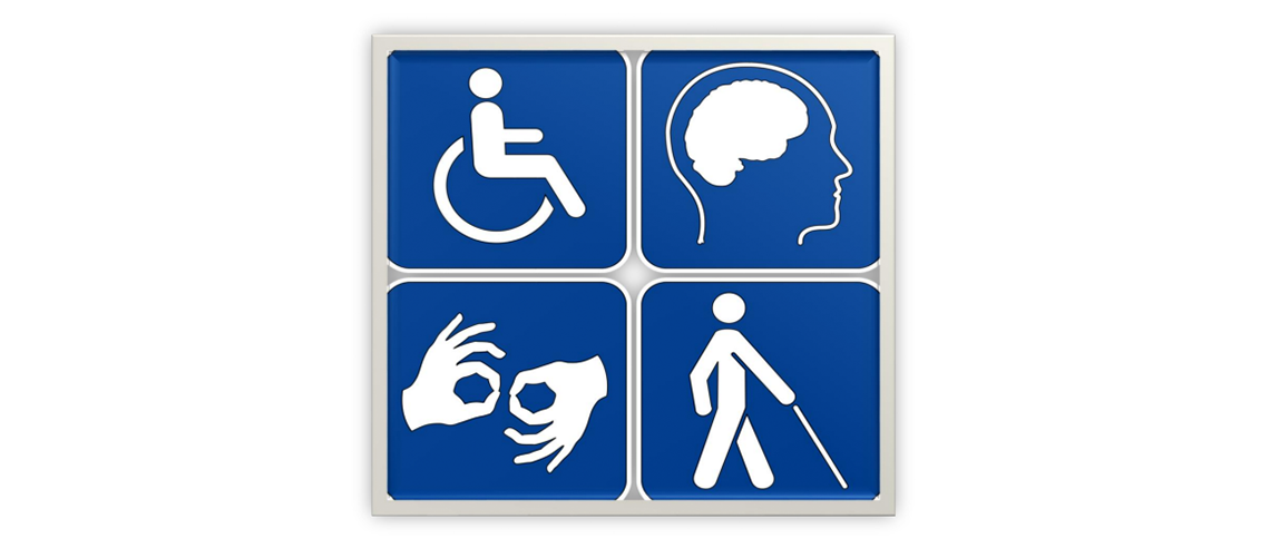 vejledning og håndbog til handicapsagsbehandlere