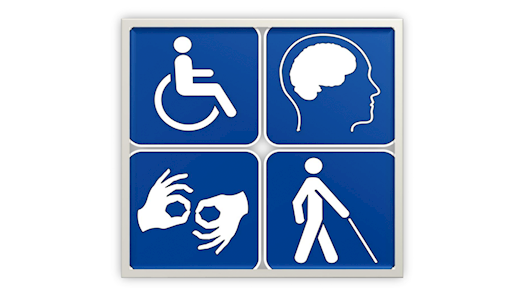 vejledning og håndbog til handicapsagsbehandlere