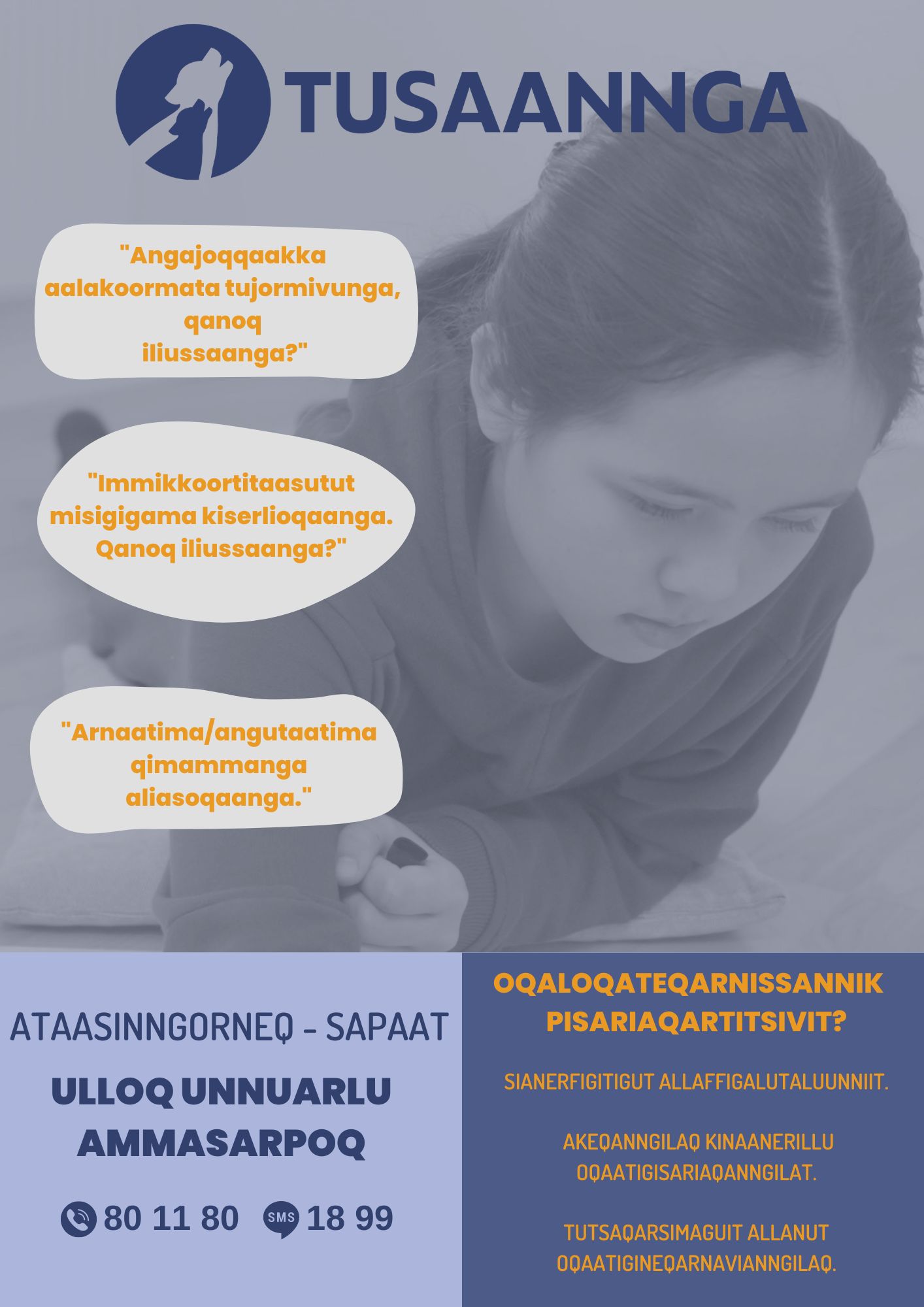 Oqaloqateqarnissannik pisariaqartisivit - BRN